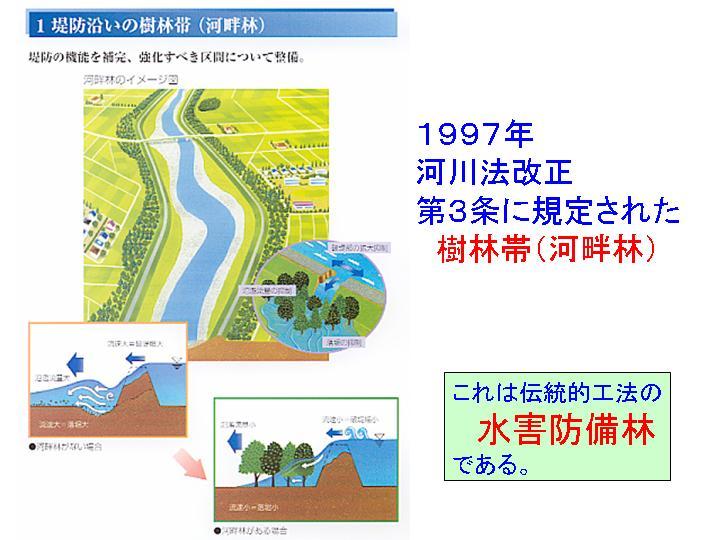 河川法改正第三条に規定された樹林帯