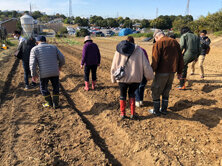 11月号弁護士とプロボノ活動添付写真③.jpg